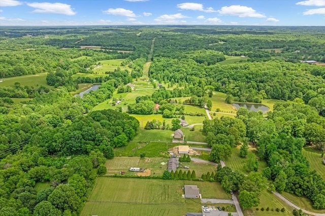 147 Ray Jent Rd, Bethpage, TN 37022 - aerial view of a forest and a nearby body of water