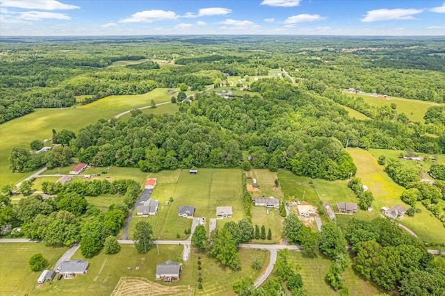 147 Ray Jent Rd, Bethpage, TN 37022 - aerial view of property and surrounding area with a heavily wooded area
