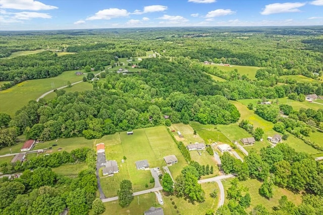 147 Ray Jent Rd, Bethpage, TN 37022 - aerial view of property's location featuring a heavily wooded area