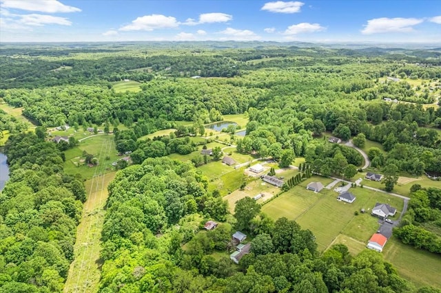 147 Ray Jent Rd, Bethpage, TN 37022 - aerial view of property's location with a forest and a nearby body of water
