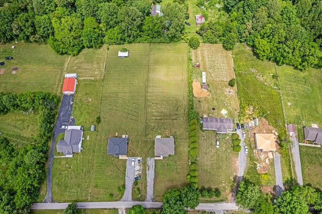 147 Ray Jent Rd, Bethpage, TN 37022 - aerial overview of property's location