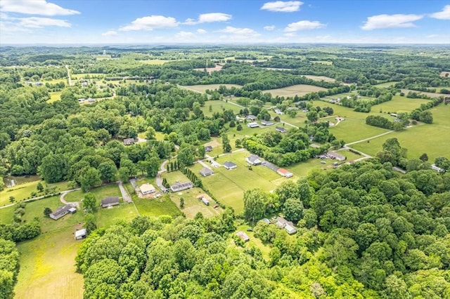 147 Ray Jent Rd, Bethpage, TN 37022 - aerial view of property and surrounding area