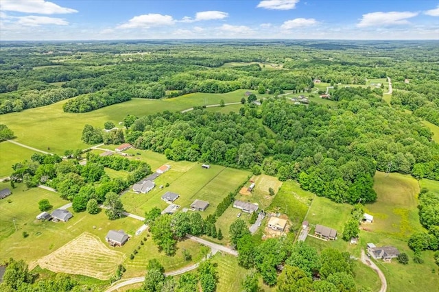 147 Ray Jent Rd, Bethpage, TN 37022 - view of property location with a heavily wooded area