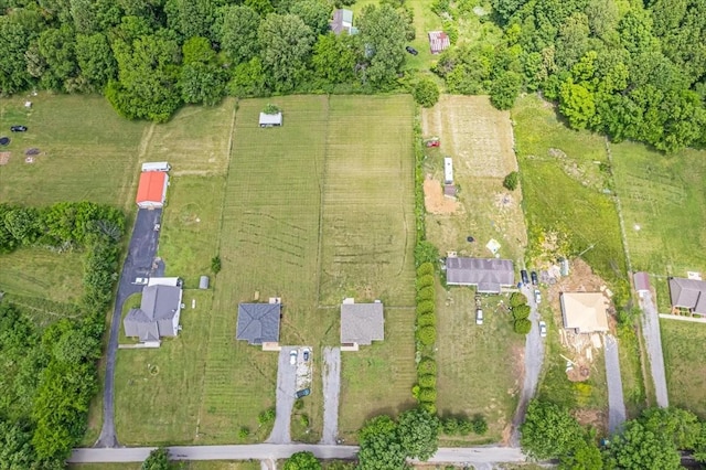 147 Ray Jent Rd, Bethpage, TN 37022 - aerial overview of property's location