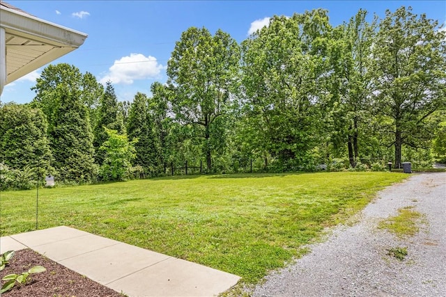 147 Ray Jent Rd, Bethpage, TN 37022 - view of grassy yard