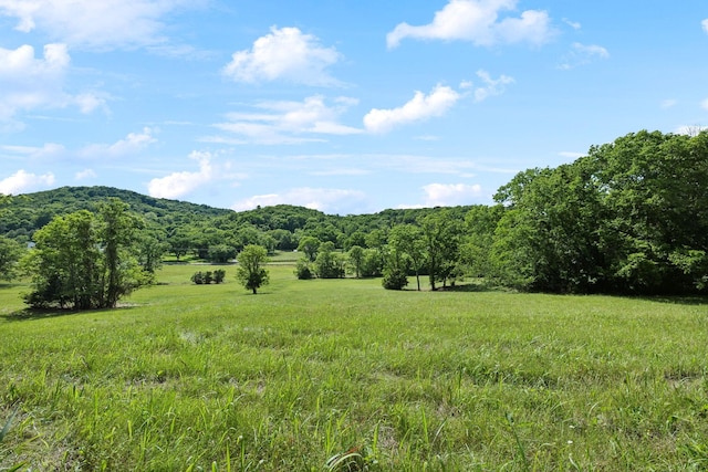 0 Arno Rd, College Grove, TN 37046