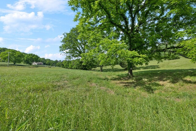 0 Arno Rd, College Grove, TN 37046