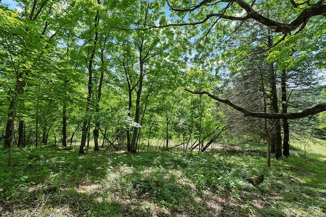 0 Arno Rd, College Grove, TN 37046