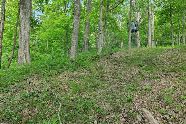 0 Arno Rd, College Grove, TN 37046