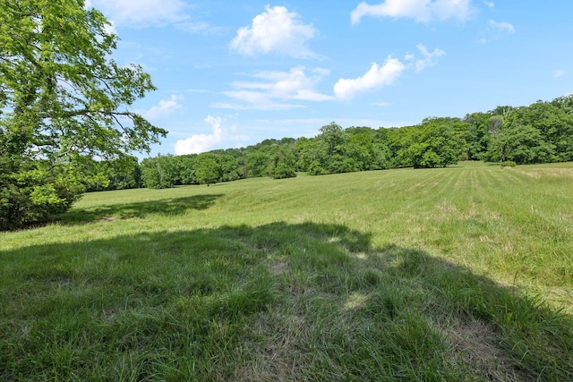 0 Arno Rd, College Grove, TN 37046