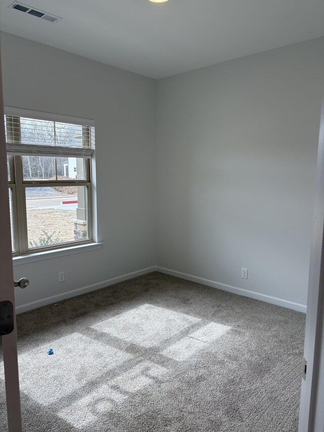 306 Neartop Ln, Murfreesboro, TN 37128 - photo 5