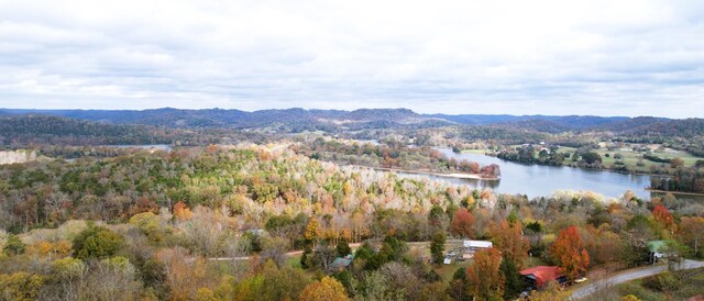 158 Grishom Ln, Granville, TN 38564 - photo 19