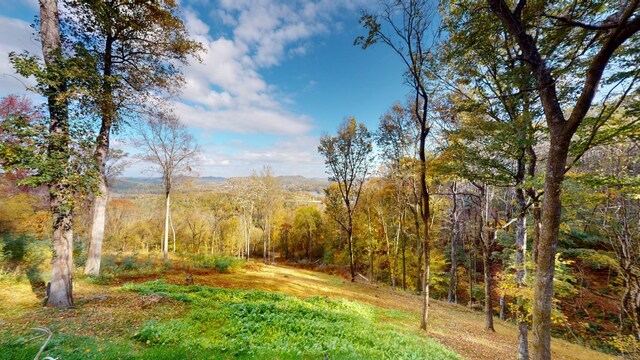 158 Grishom Ln, Granville, TN 38564 - photo 33