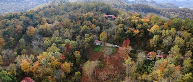 158 Grishom Ln, Granville, TN 38564 - photo 14