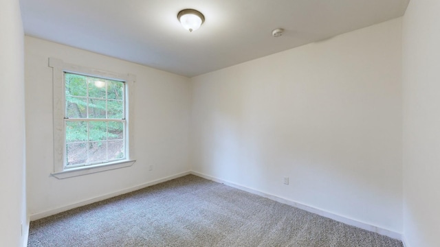 158 Grishom Ln, Granville, TN 38564 - photo 54