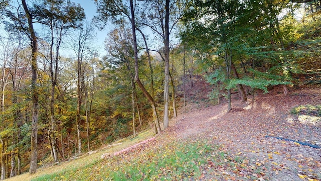 158 Grishom Ln, Granville, TN 38564 - photo 27