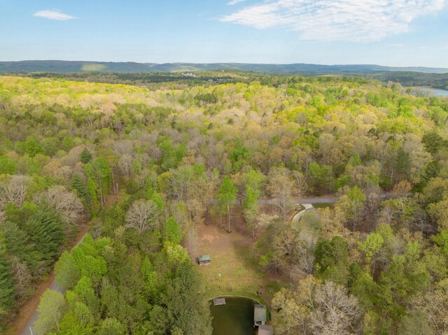13300 Bellacoola Rd, Soddy Daisy, TN 37379 - photo 7