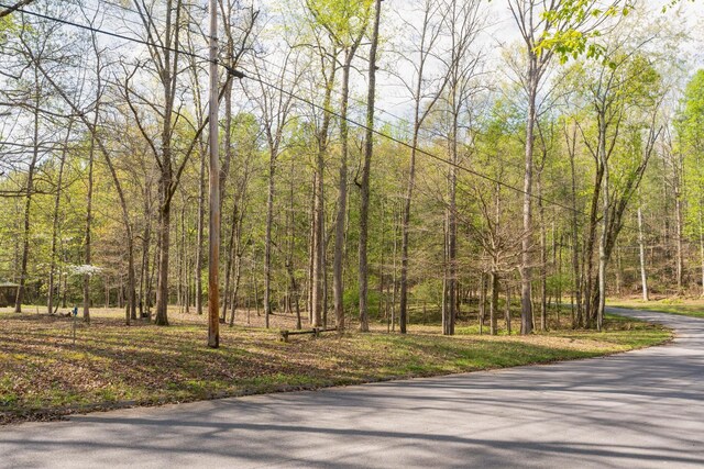 13300 Bellacoola Rd, Soddy Daisy, TN 37379 - photo 10