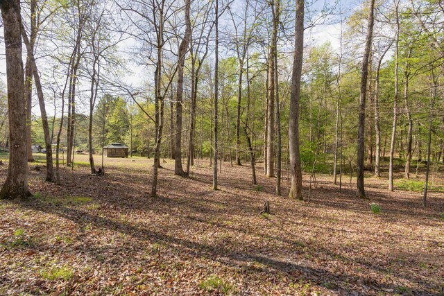 13300 Bellacoola Rd, Soddy Daisy, TN 37379 - photo 11