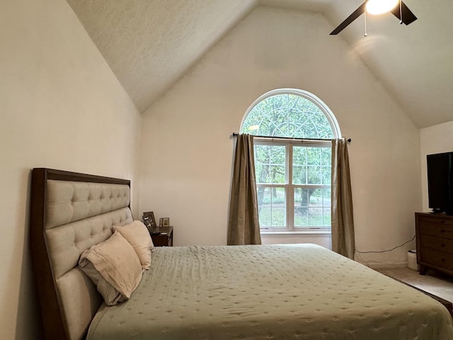 130 Jordan Ln, Hohenwald, TN 38462 - bedroom with lofted ceiling and a ceiling fan