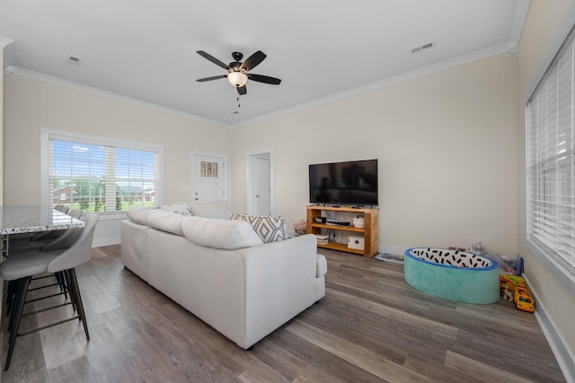 65 Joe Blanton Rd, Woodbury, TN 37190 - photo 15