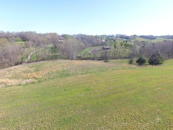 965 N Dickerson Chapel Rd, Lebanon, TN 37087