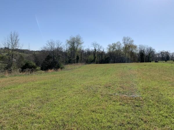 965 N Dickerson Chapel Rd, Lebanon, TN 37087