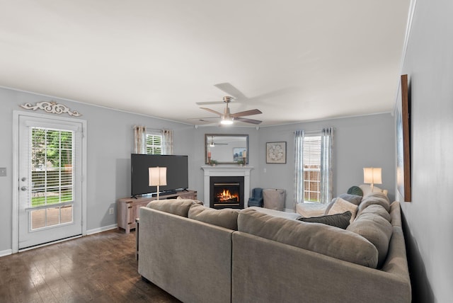 living room featuring a lit fireplace, dark wood-style floors, ceiling fan, crown molding, and baseboards