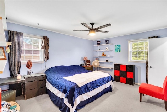 505 Kindel Dr, Decherd, TN 37324 - bedroom with multiple windows, carpet floors, ornamental molding, and ceiling fan