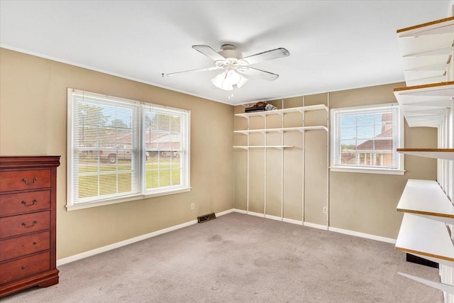 505 Kindel Dr, Decherd, TN 37324 - carpeted spare room featuring a ceiling fan, baseboards, and crown molding