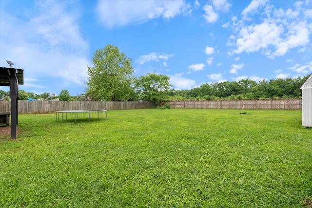 view of yard featuring a trampoline