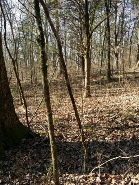 1529 Hyde Ln, Brentwood, TN 37027 - view of nature