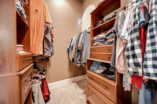 291 Bowling Branch Rd, Cottontown, TN 37048 - spacious closet with carpet floors