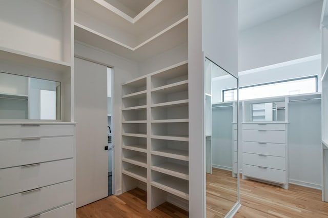 walk in closet with light wood-style flooring