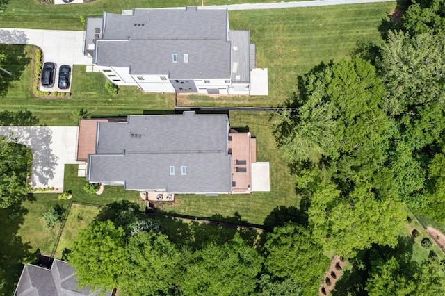 bird's eye view