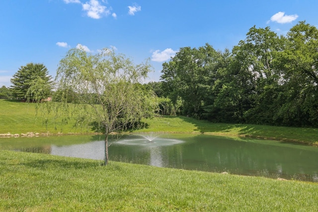 1357 Madison Creek Rd, Goodlettsville, TN 37072 - photo 78
