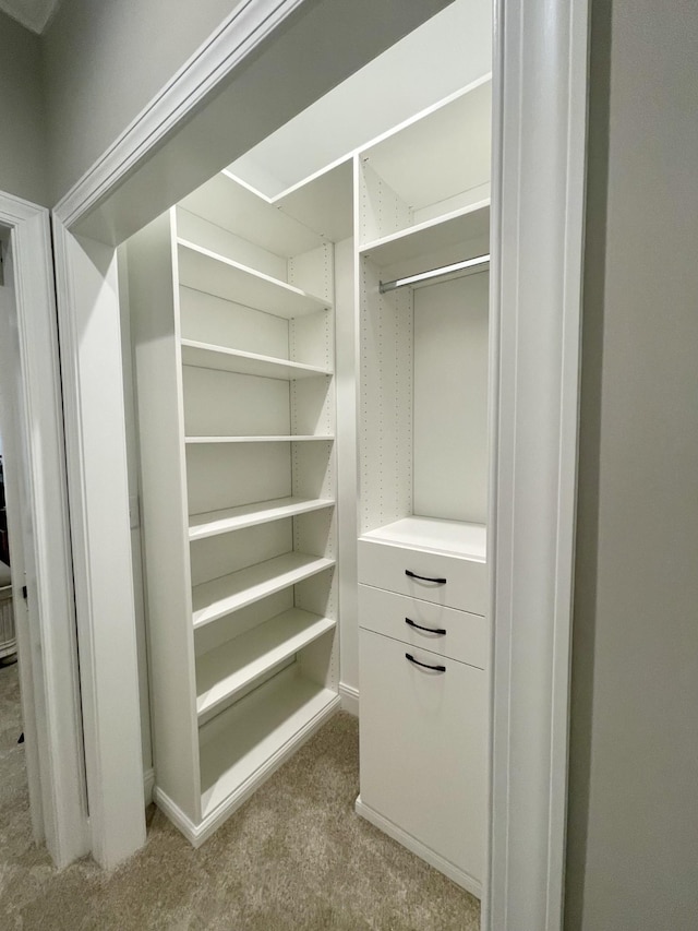 2063 Rylee Way, Greenbrier, TN 37073 - view of closet