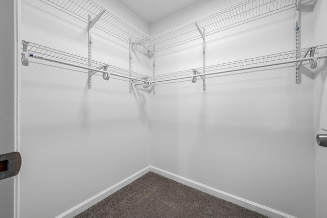 1802 Gardner Dr, Murfreesboro, TN 37130 - photo 17
