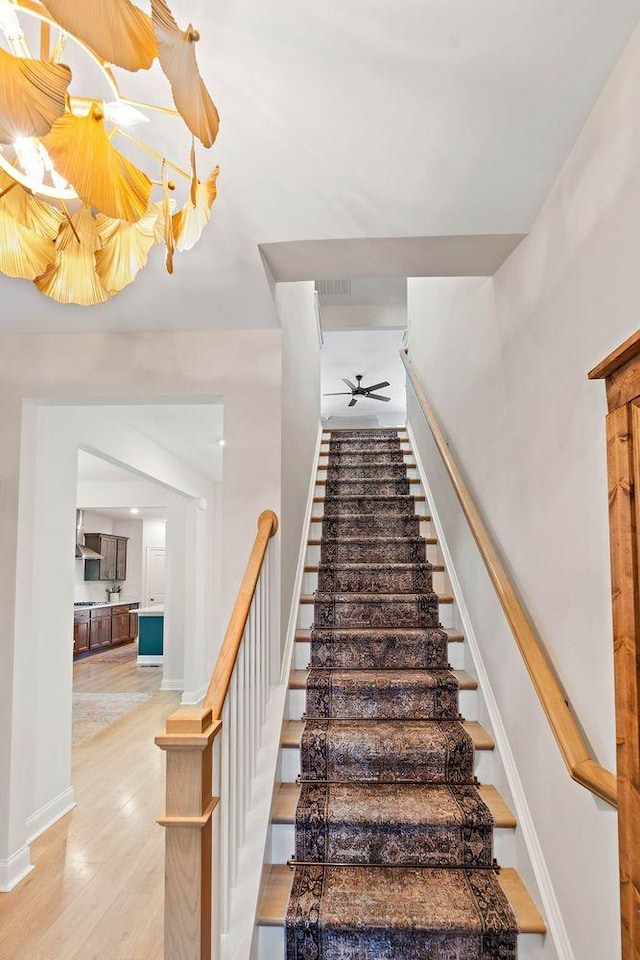 1125 Clendening Dr, Gallatin, TN 37066 - stairs with wood finished floors, baseboards, and ceiling fan