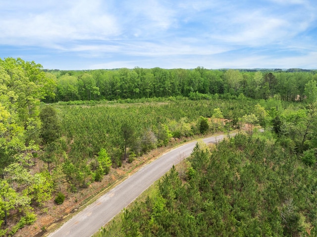 0 Young Rd, Finger, TN 38334