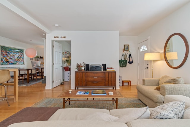 living room with light wood-type flooring