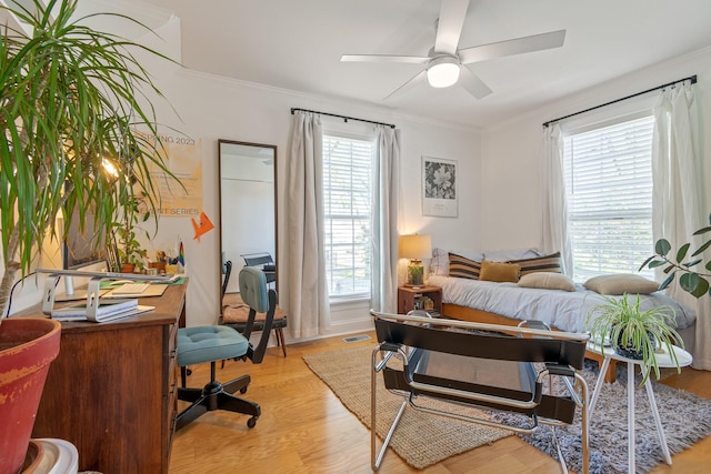 bedroom featuring multiple windows, a desk, light wood-style flooring, and ornamental molding