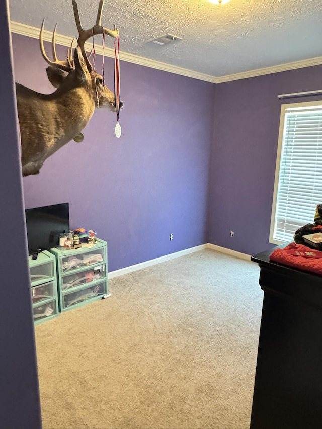 287 Sisk Rd, Winchester, TN 37398 - playroom featuring carpet floors, a textured ceiling, crown molding, and baseboards
