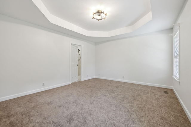 1403 Ottawa Pl, Murfreesboro, TN 37129 - spare room featuring plenty of natural light, carpet flooring, a raised ceiling, and baseboards
