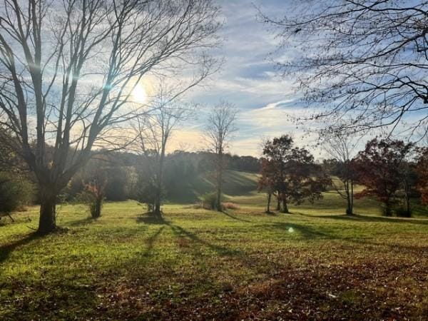 view of green lawn