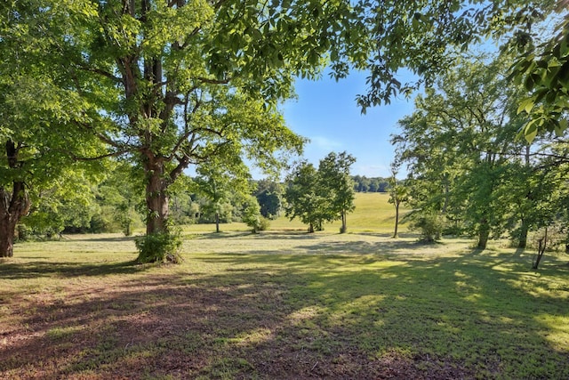 1885 N Soules Chapel Rd, Cunningham, TN 37052 - view of green lawn