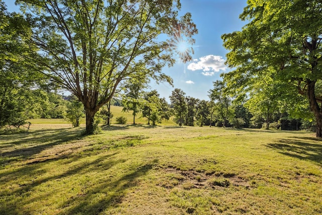1885 N Soules Chapel Rd, Cunningham, TN 37052 - view of grassy yard