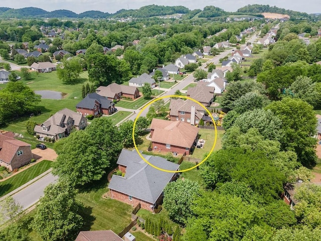 2184 Loudenslager Dr, Thompsons Station, TN 37179 - aerial view of residential area