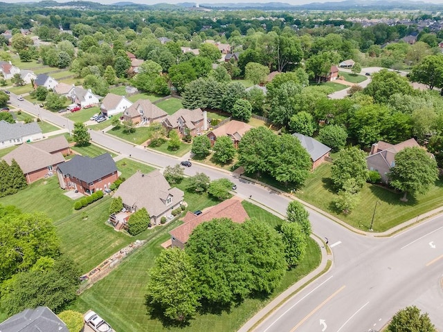 2184 Loudenslager Dr, Thompsons Station, TN 37179 - aerial view of residential area