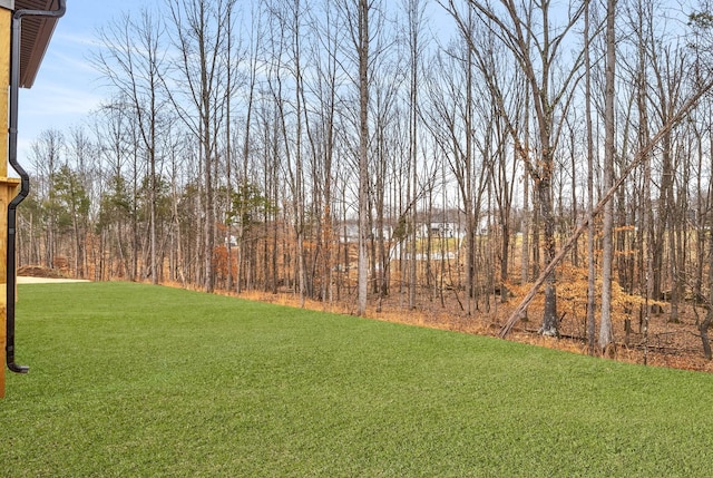 513 Canyon View Ct, Clarksville, TN 37040 - photo 29